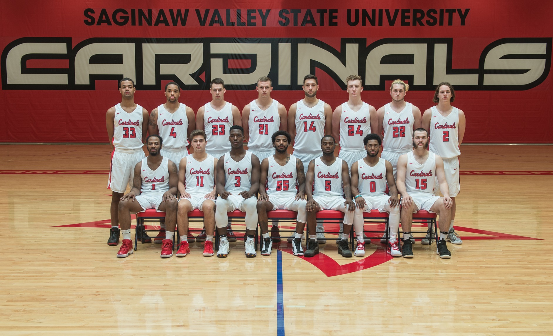 Cardinals picked to finish 4th in GLIAC South Division