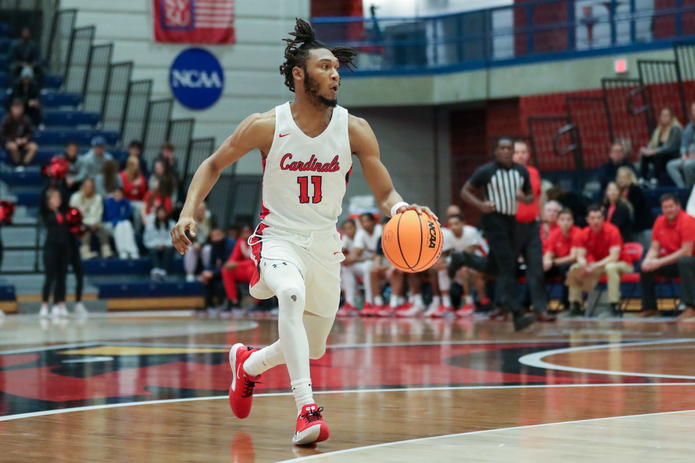 Cardinals Fall in Home Opener against Malone