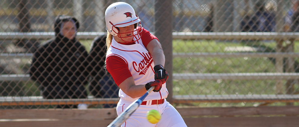 Cardinals End 2013 Season with a Split at Hillsdale