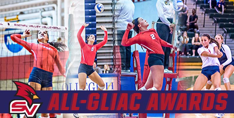 Four Cardinals Earn All-GLIAC Volleyball Honors
