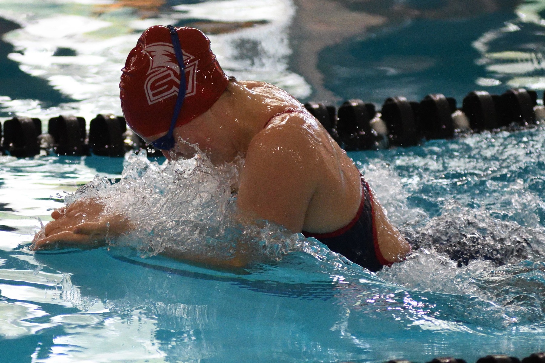 SVSU Swimming & Diving Teams Sweep Findlay in Dual Meet