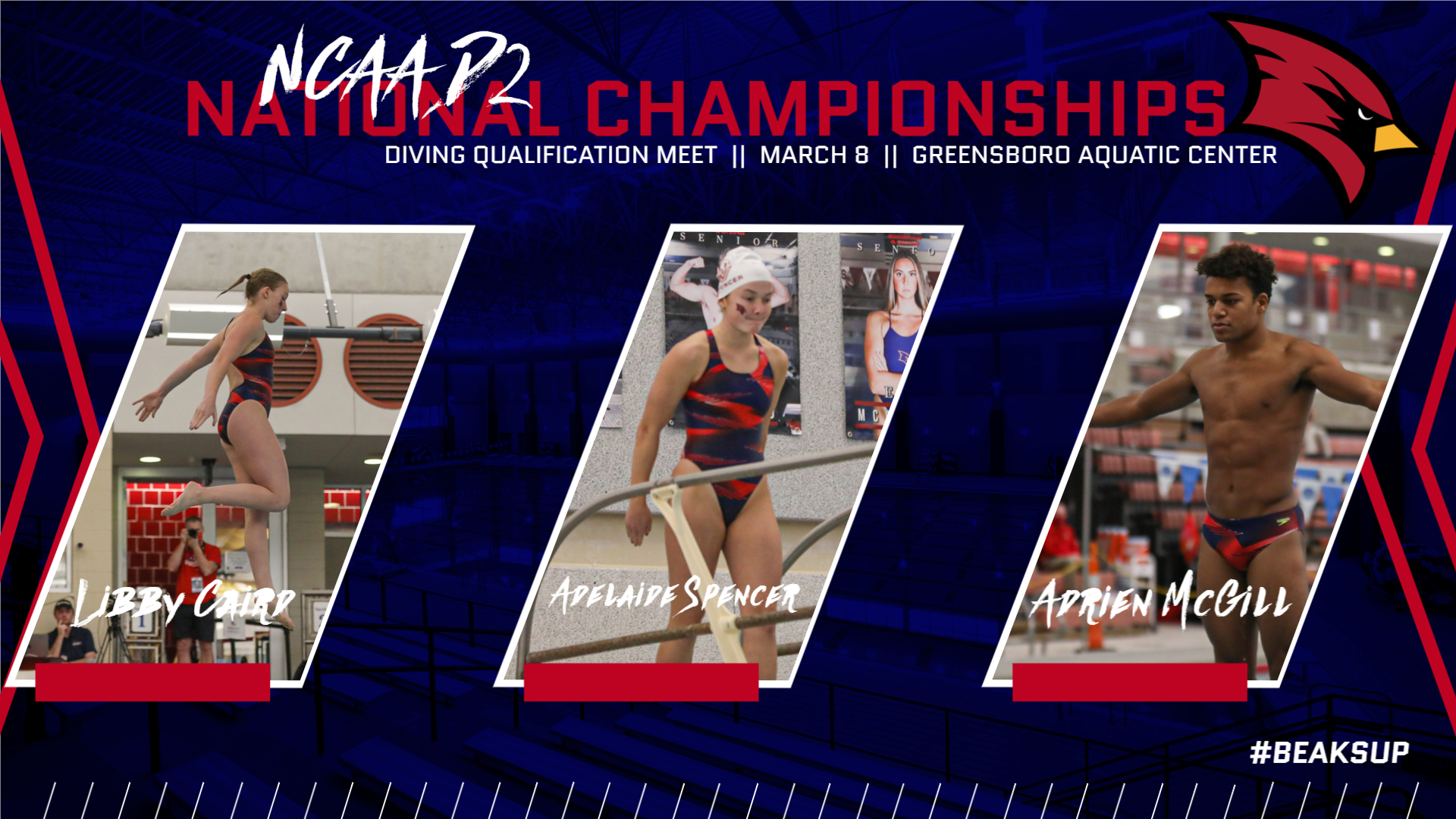 Three Cardinal divers set to compete at NCAA DII Nationals