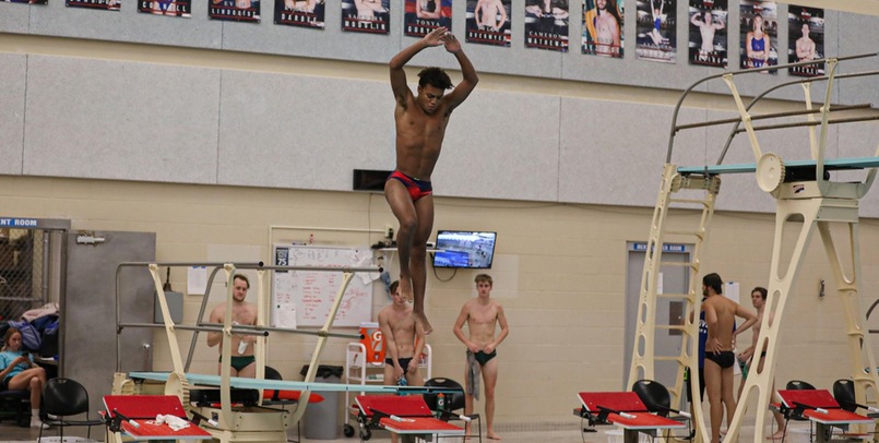 McGill finishes 17th on 1-Meter at NCAA DII Championships