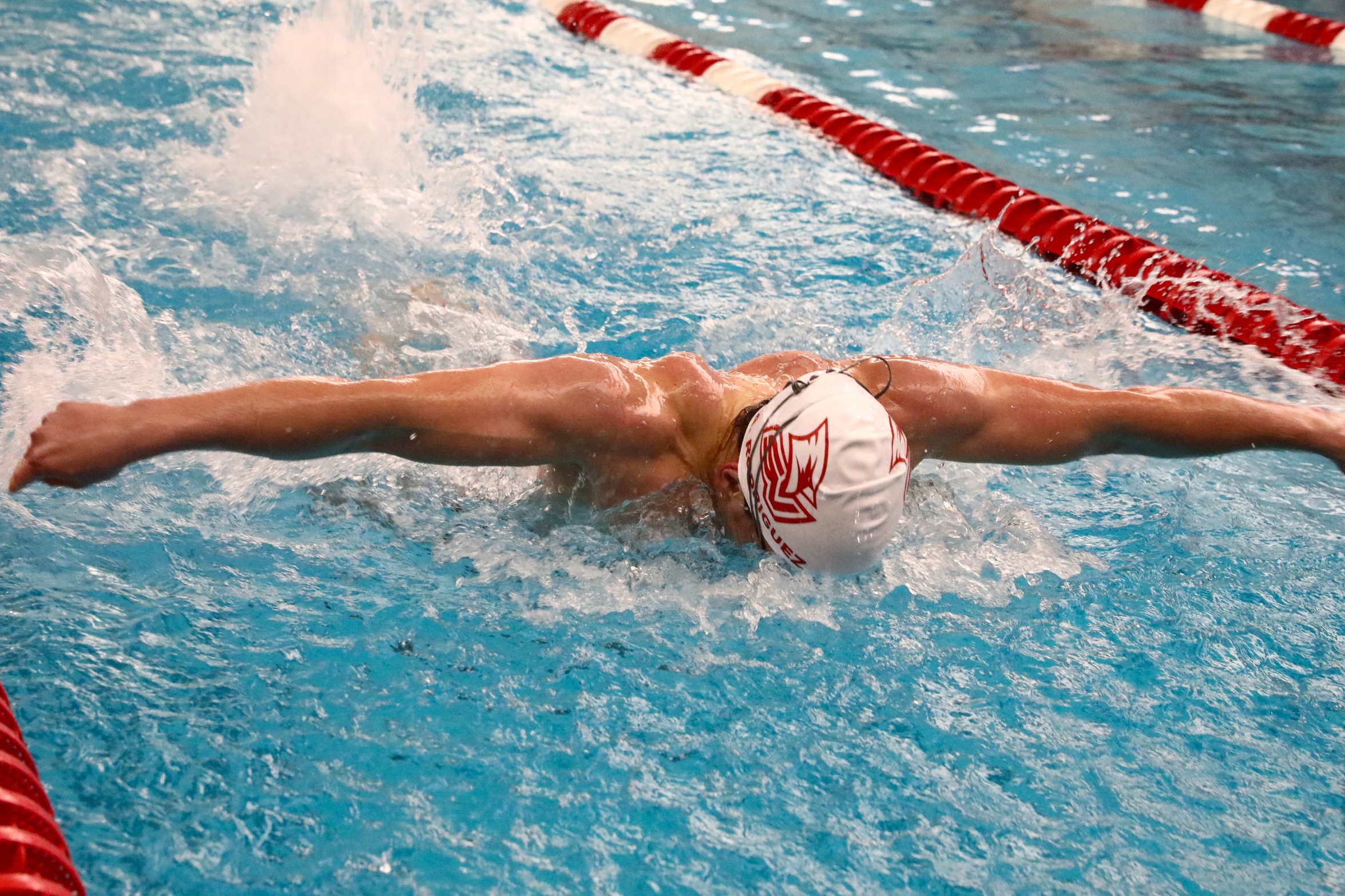 Both Swim & Dive Teams Take Second at Davenport Invitational