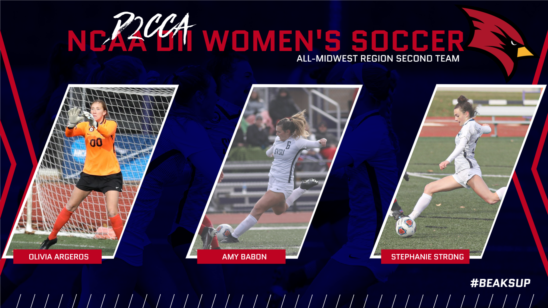Three Cardinals earn D2CCA All-Midwest Region honors