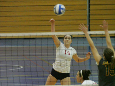 Volleyball Advances To GLIAC Championship With 3-0 Win Over Wildcats