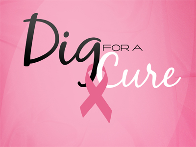Volleyball Set To Host "Dig for a Cure" Weekend