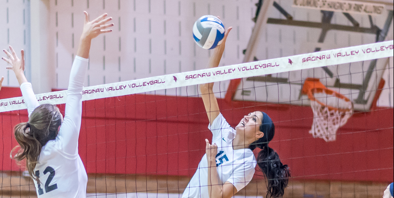 Kaylee Schmitt was named to the AVCA All-Midwest Region Honorable Mention team...