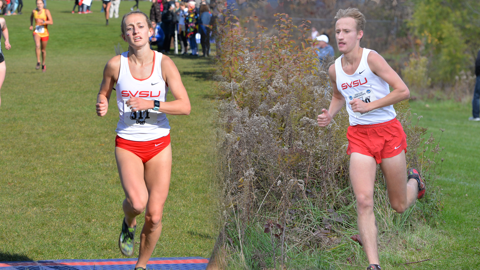 Cardinals head to the NCAA Division II Cross Country Championship Saturday