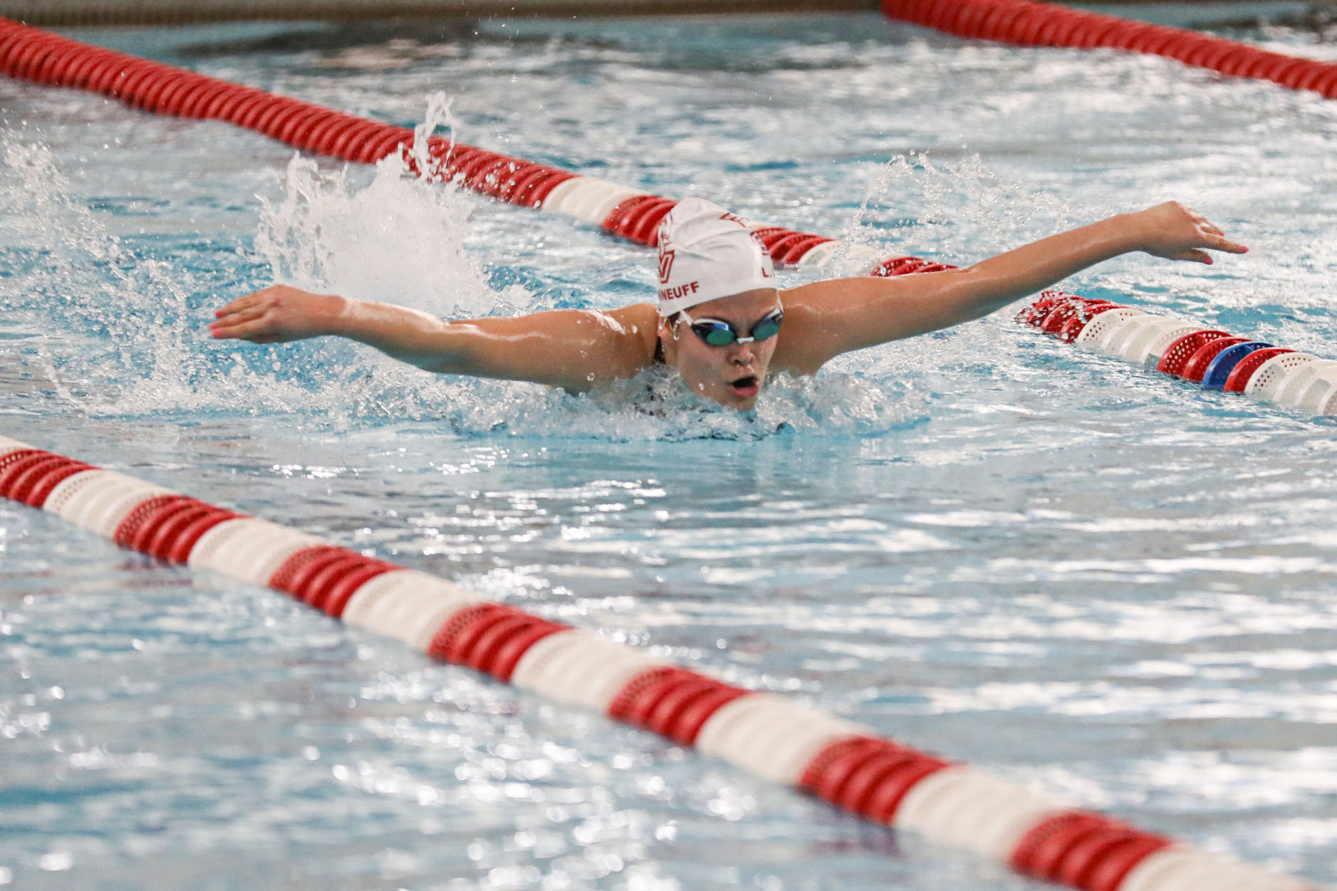 Cardinal Swimming and Diving Opened 2023 with Duel at Wayne State
