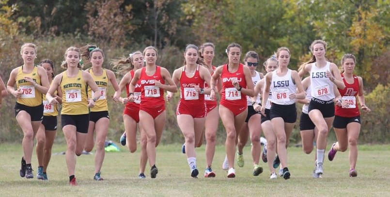 SVSU takes 5th, Brown wins overall race at Lewis